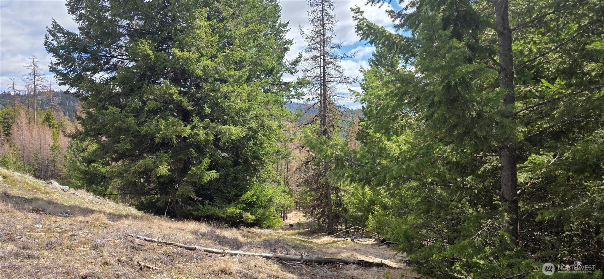 1112 Tbd Bandtman Creek Road Tonasket WA 98855