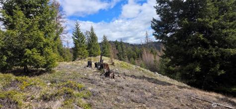 1112 Tbd Bandtman Creek Road Tonasket WA 98855