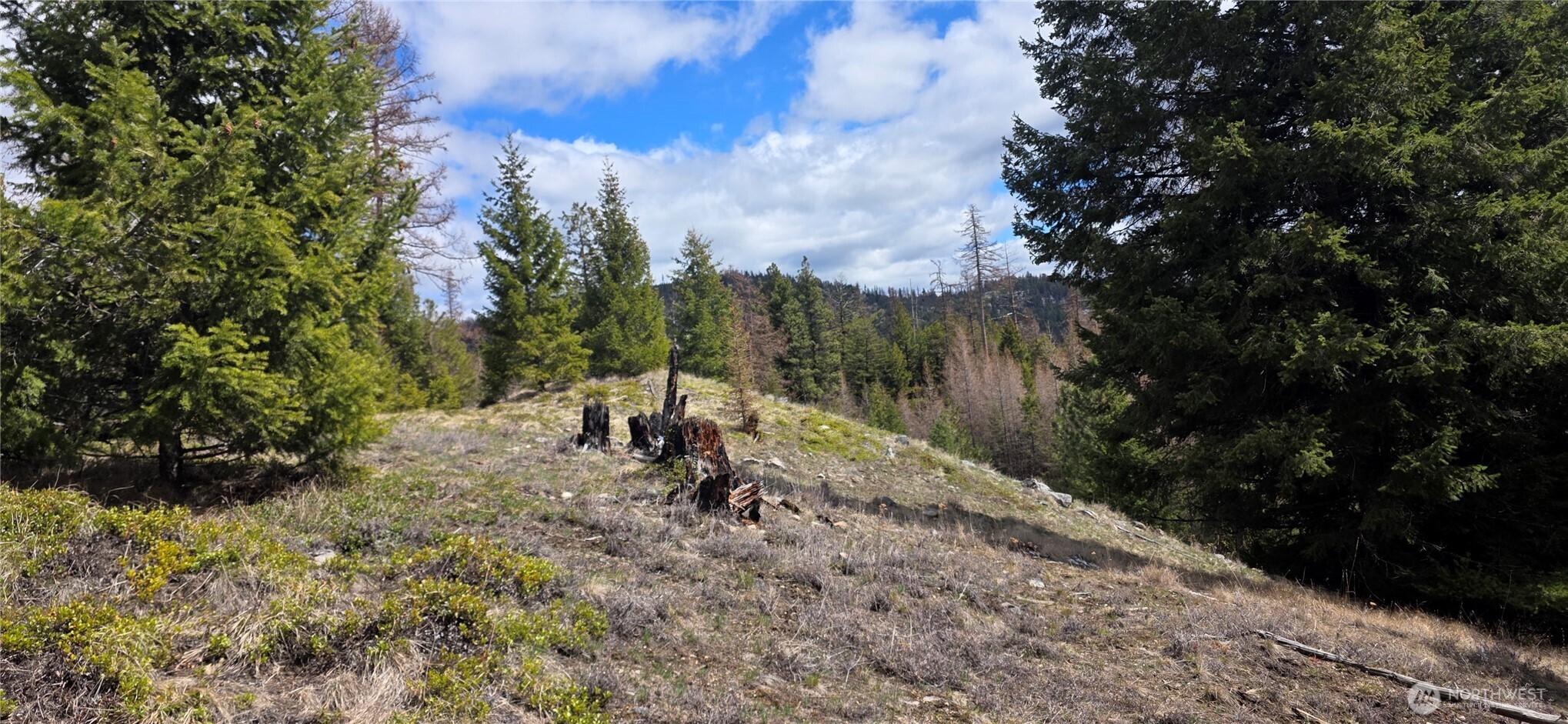 1112 Tbd Bandtman Creek Road Tonasket WA 98855