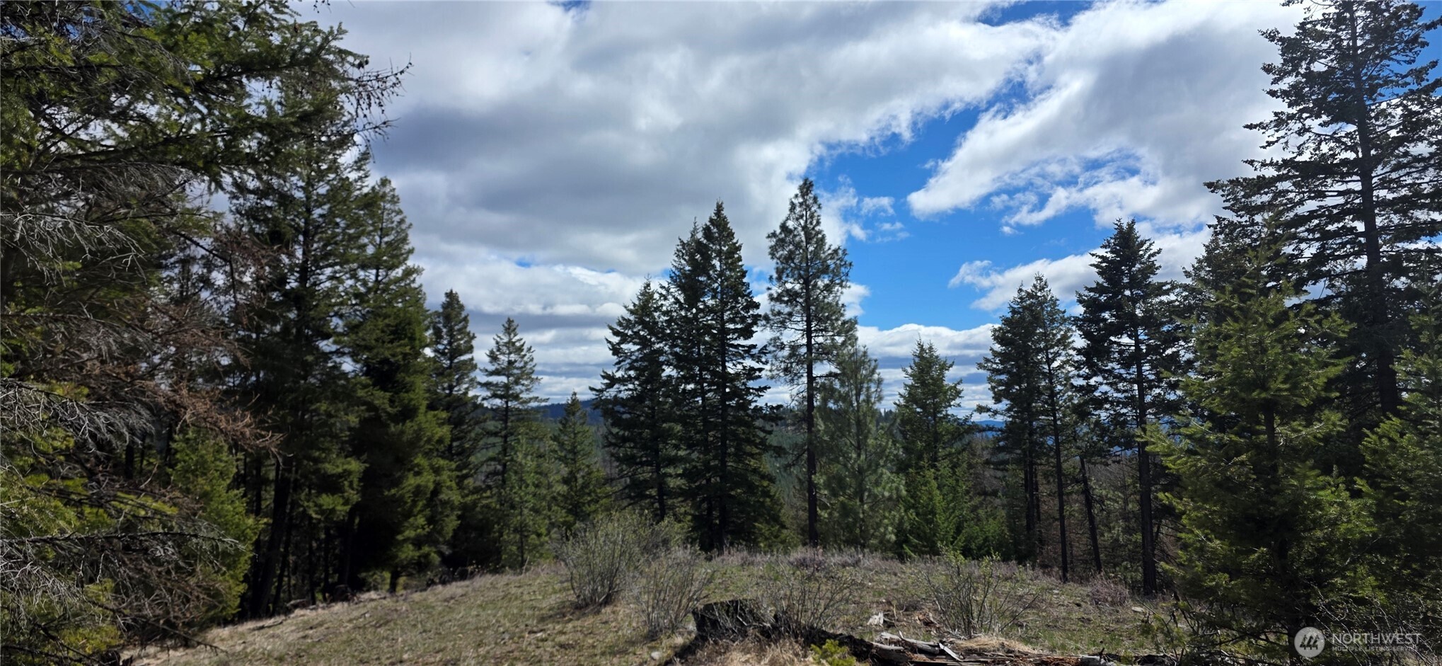 1112 Tbd Bandtman Creek Road Tonasket WA 98855