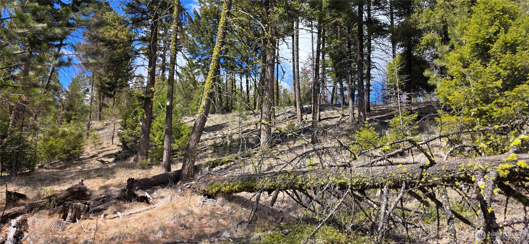 1112 Tbd Bandtman Creek Road Tonasket WA 98855