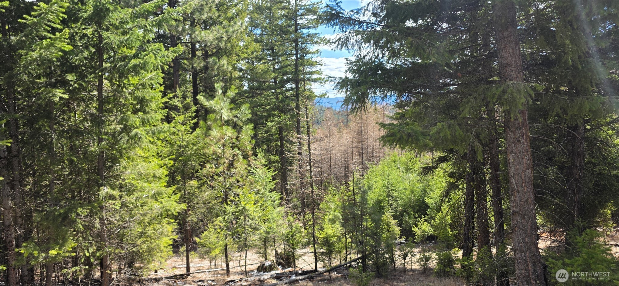 1112 Tbd Bandtman Creek Road Tonasket WA 98855