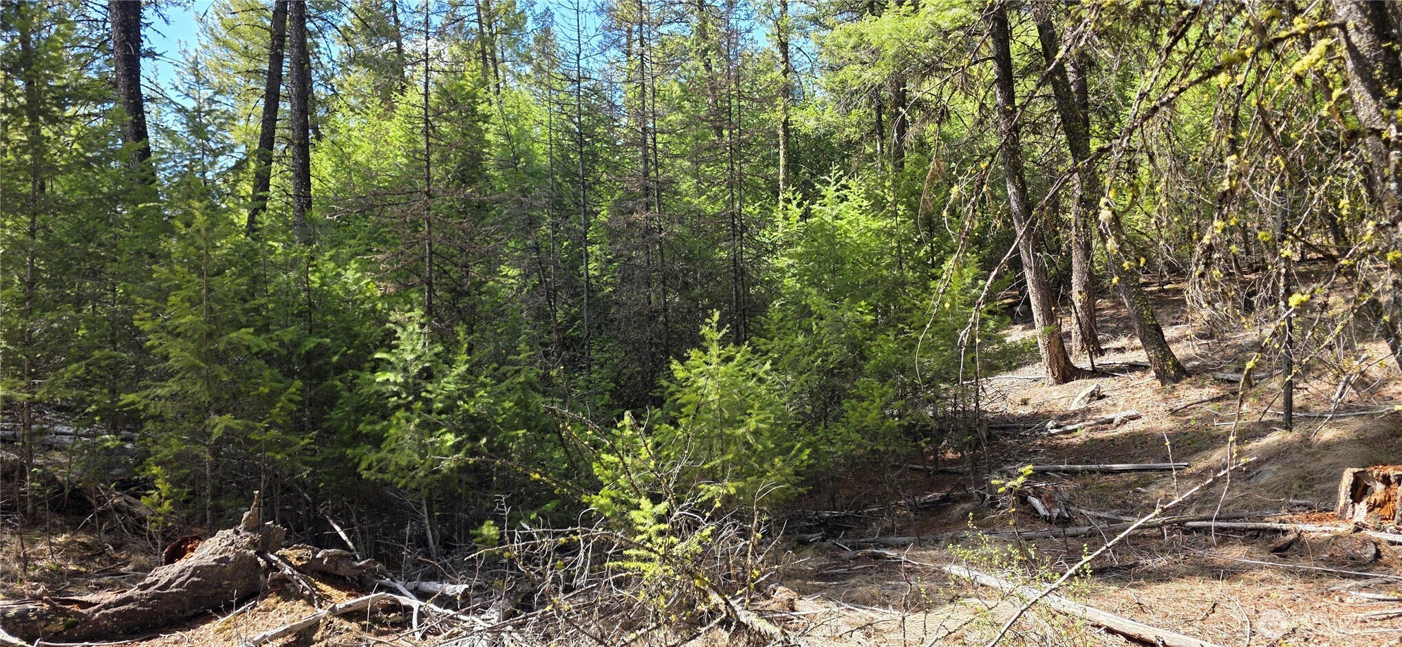 1112 Tbd Bandtman Creek Road Tonasket WA 98855