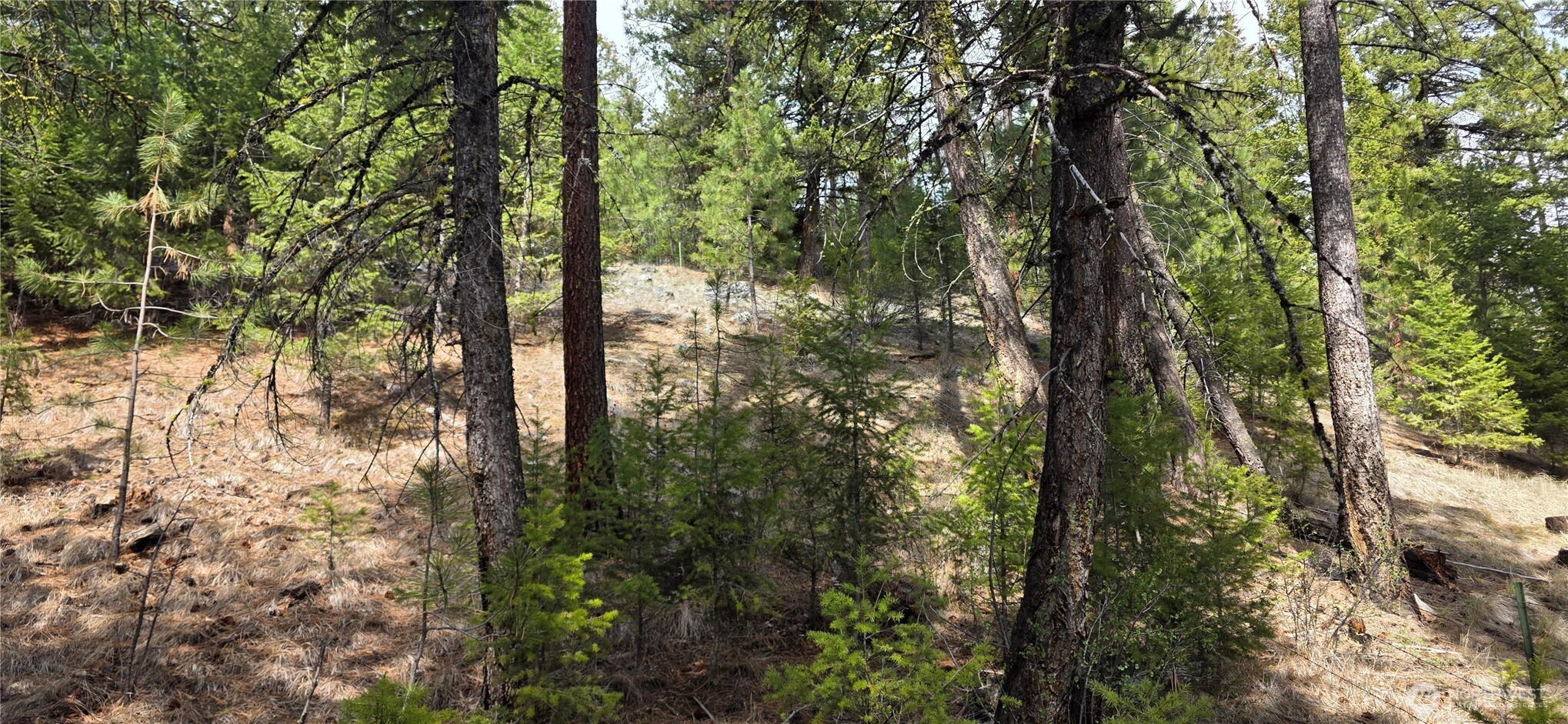 1112 Tbd Bandtman Creek Road Tonasket WA 98855