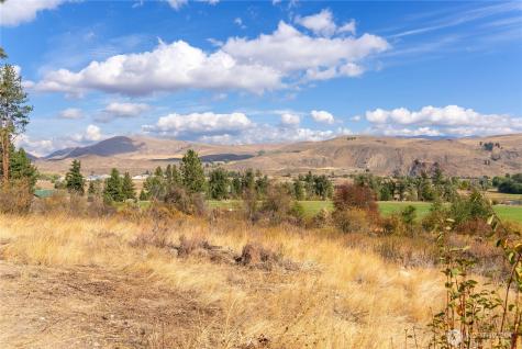 803 Twisp Carlton Road Twisp WA 98856