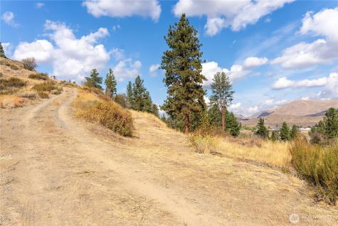 803 Twisp Carlton Road Twisp WA 98856