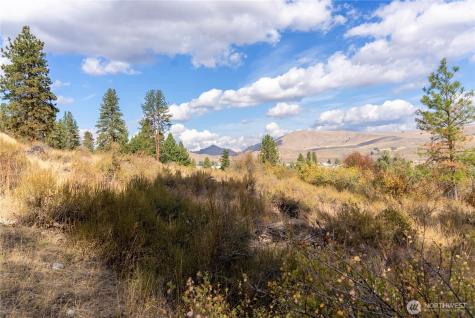 803 Twisp Carlton Road Twisp WA 98856