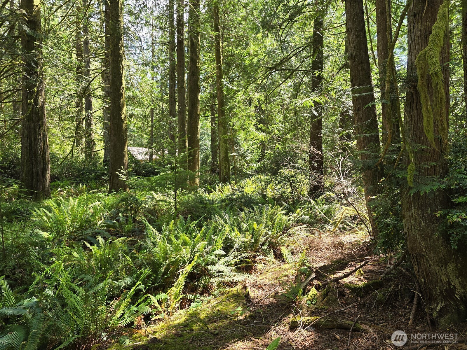 704 E Promontory Road Shelton WA 98584