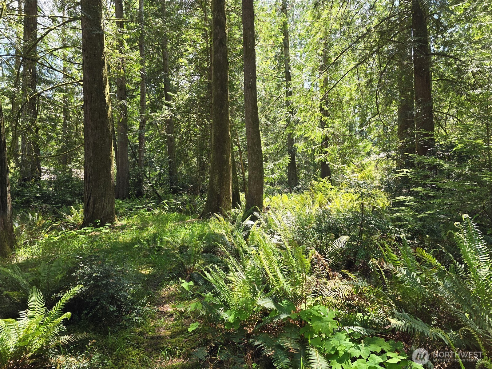 704 E Promontory Road Shelton WA 98584