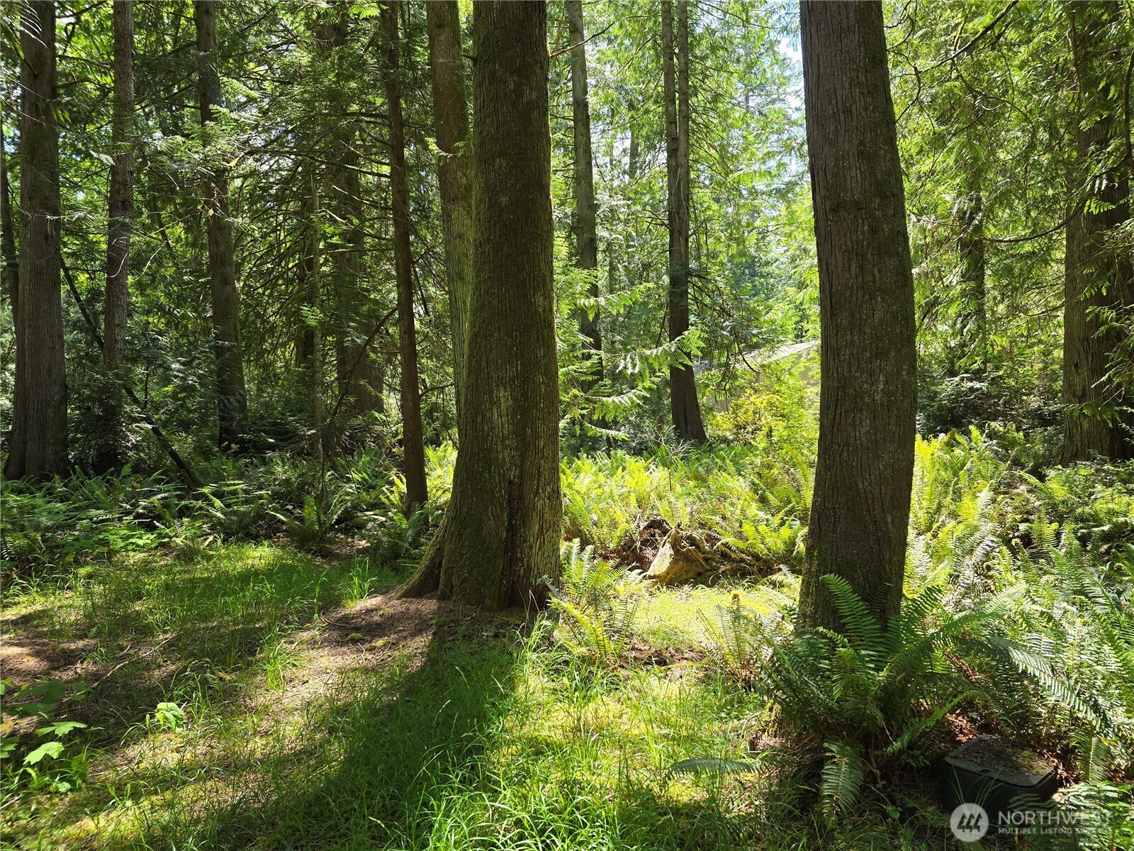 704 E Promontory Road Shelton WA 98584