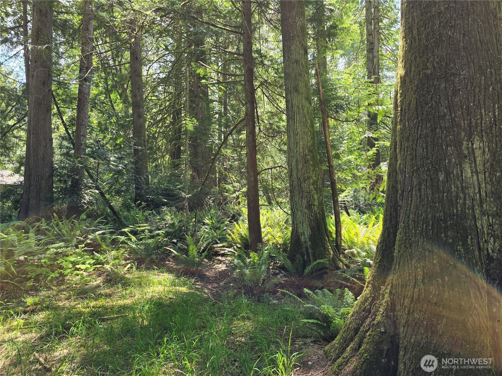 704 E Promontory Road Shelton WA 98584