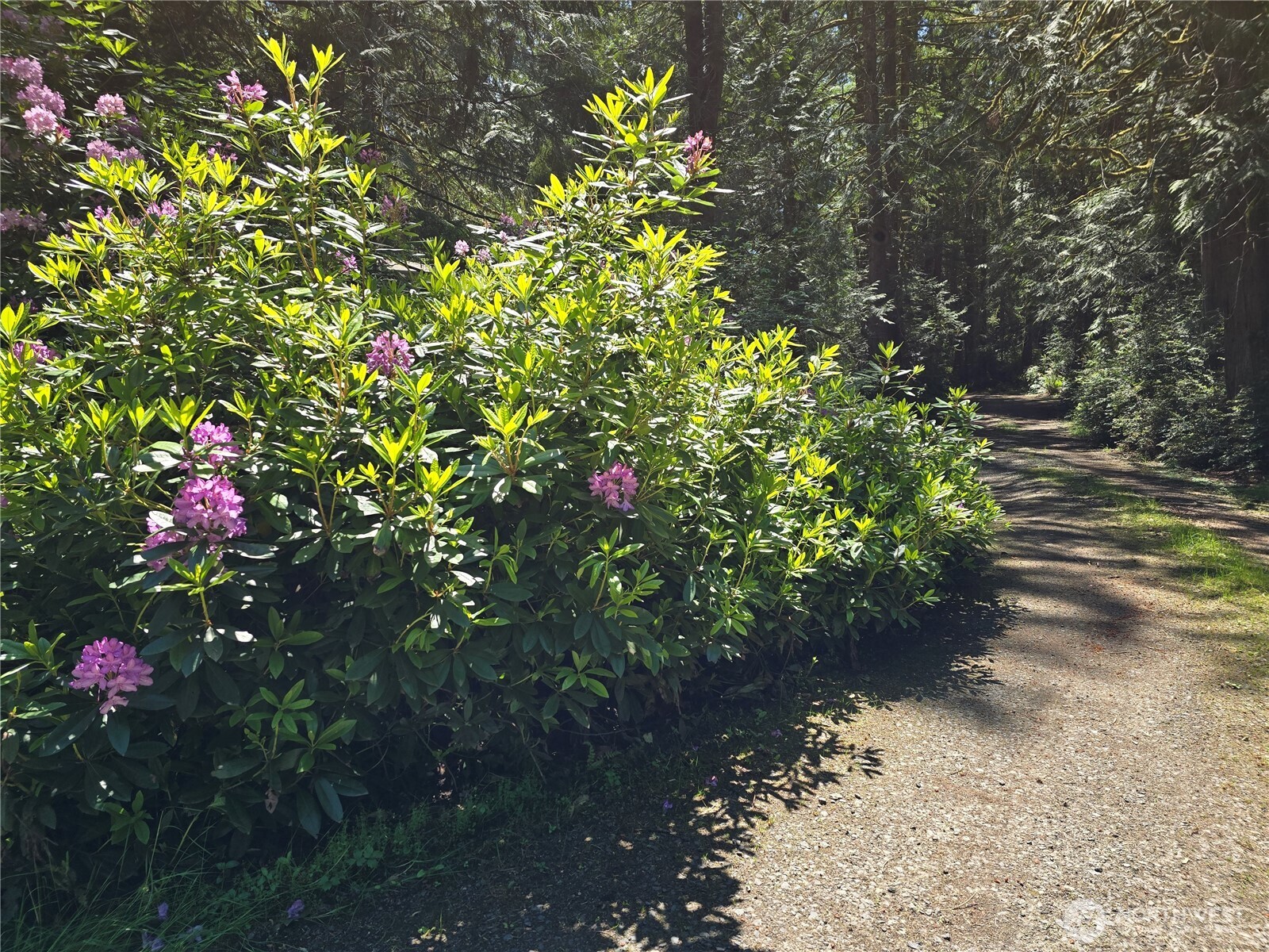 704 E Promontory Road Shelton WA 98584