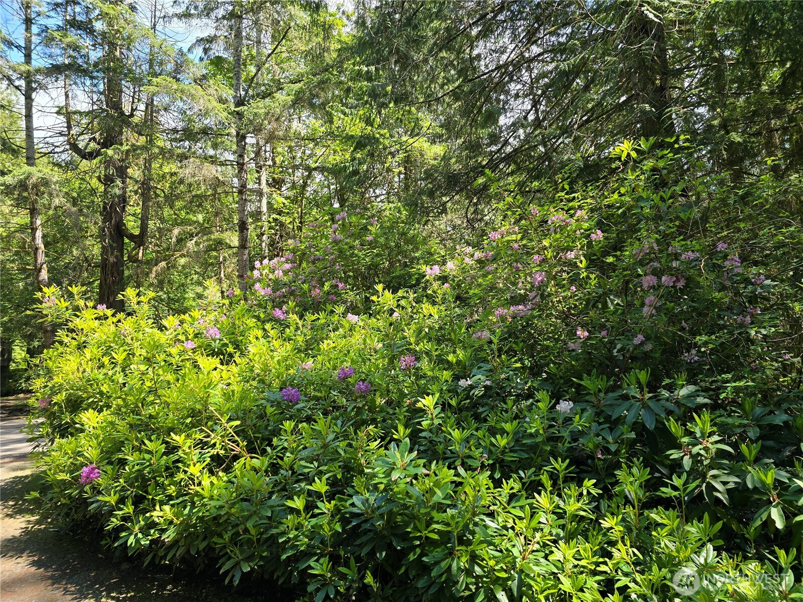 704 E Promontory Road Shelton WA 98584