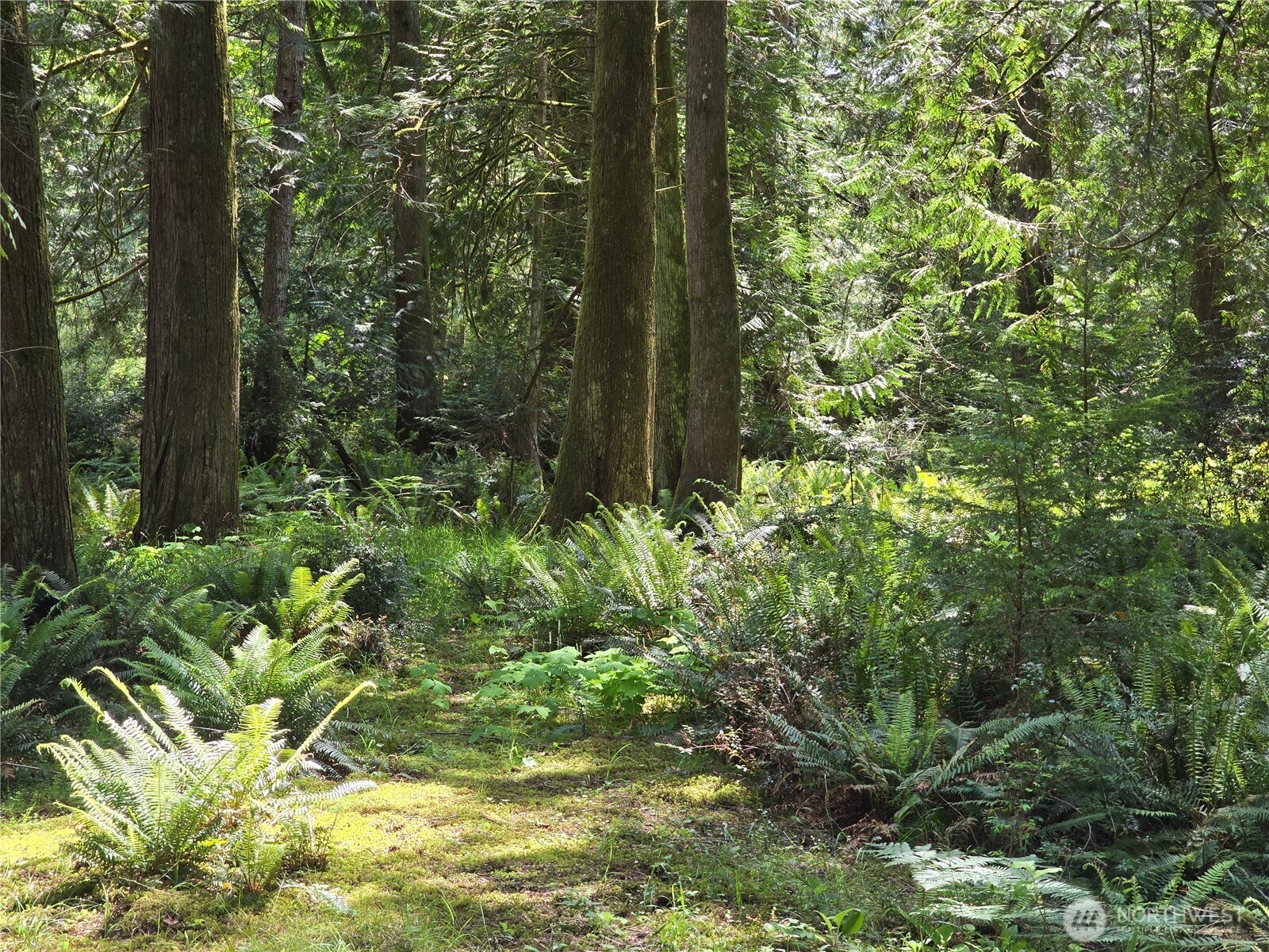 704 E Promontory Road Shelton WA 98584