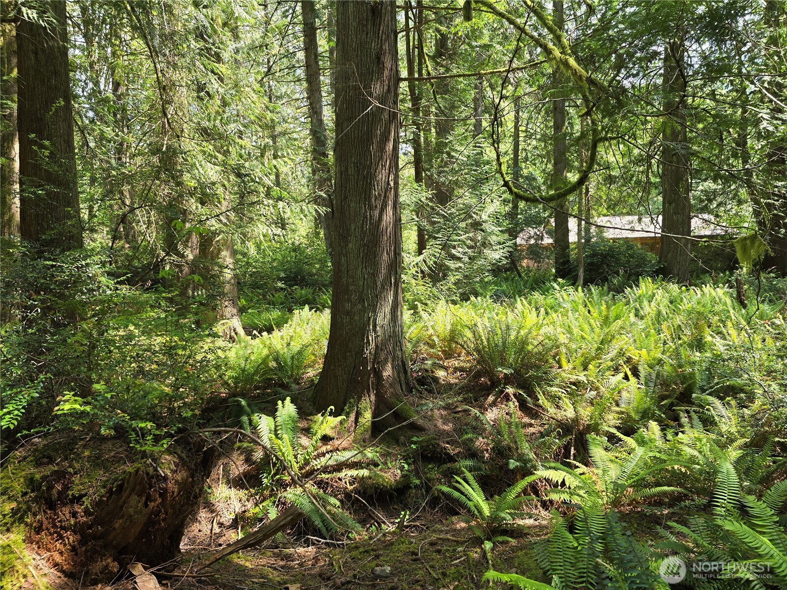 704 E Promontory Road Shelton WA 98584