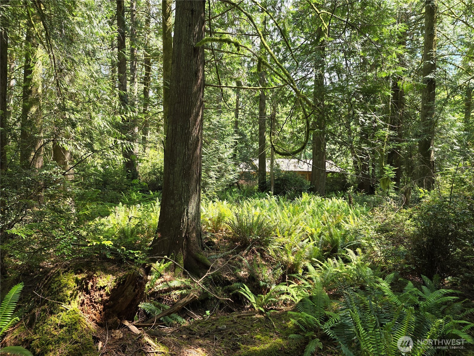 704 E Promontory Road Shelton WA 98584