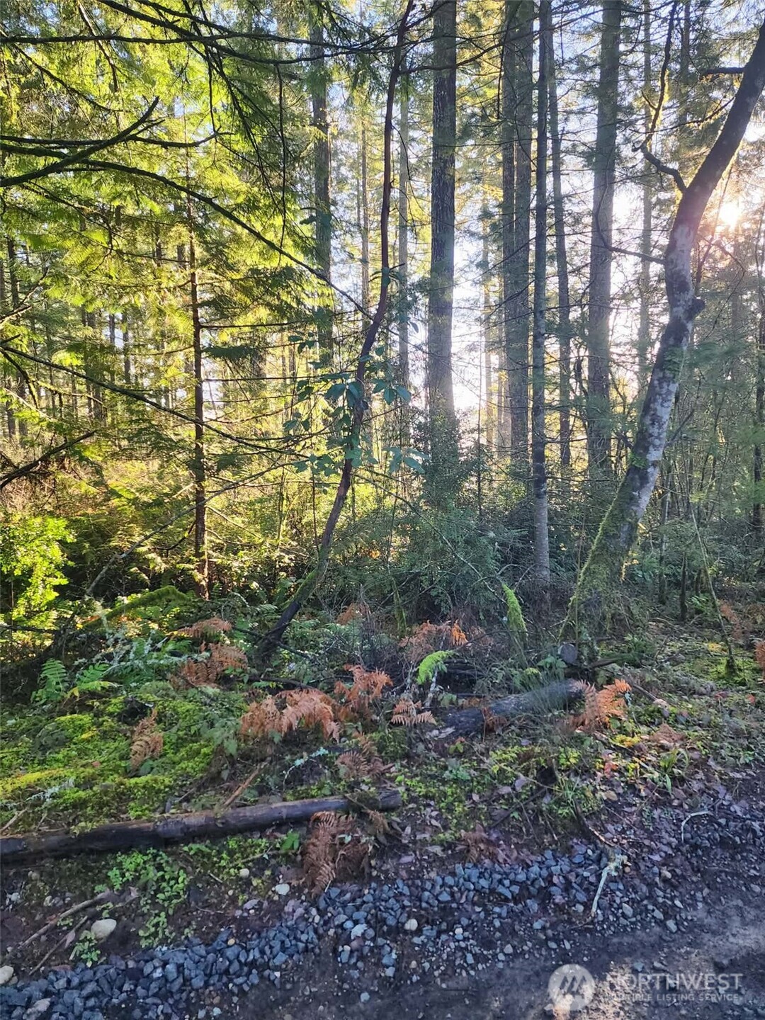 91 E Tepee Lane Belfair WA 98528