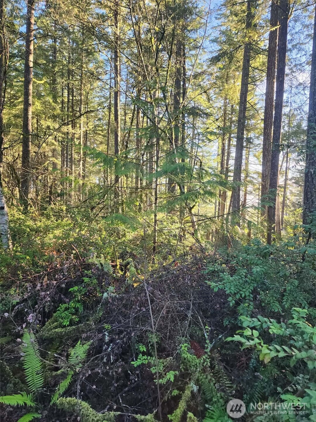 91 E Tepee Lane Belfair WA 98528