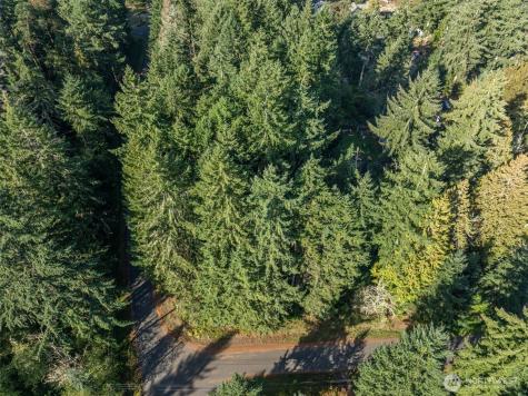 10102 104th Avenue Anderson Island WA 98303