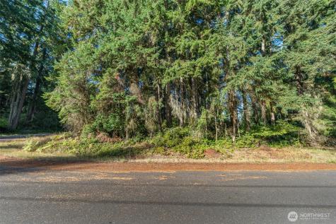 10102 104th Avenue Anderson Island WA 98303