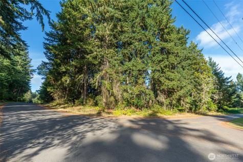 10102 104th Avenue Anderson Island WA 98303