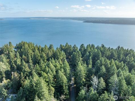 10102 104th Avenue Anderson Island WA 98303