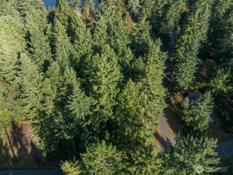 10102 104th Avenue Anderson Island WA 98303