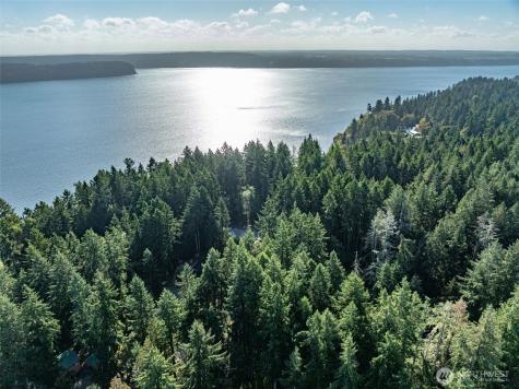 10102 104th Avenue Anderson Island WA 98303