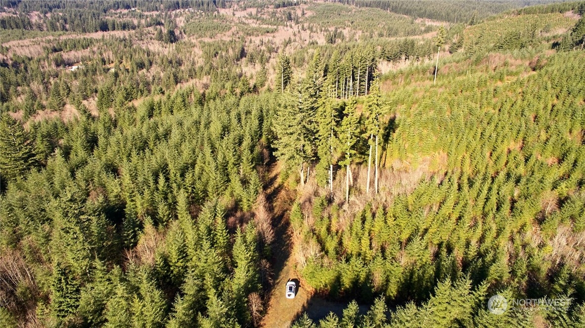 3 NE Jones Creek Road Camas WA 98601