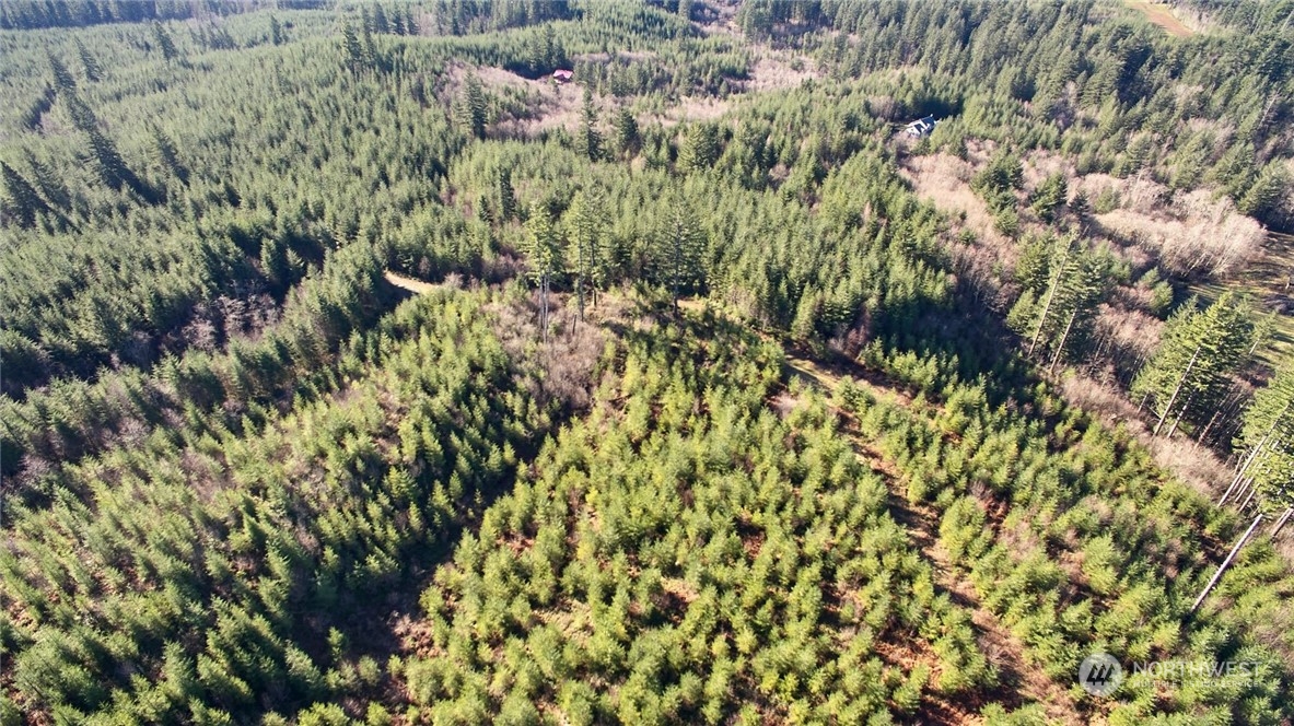 3 NE Jones Creek Road Camas WA 98601
