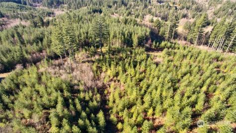 3 NE Jones Creek Road Camas WA 98601