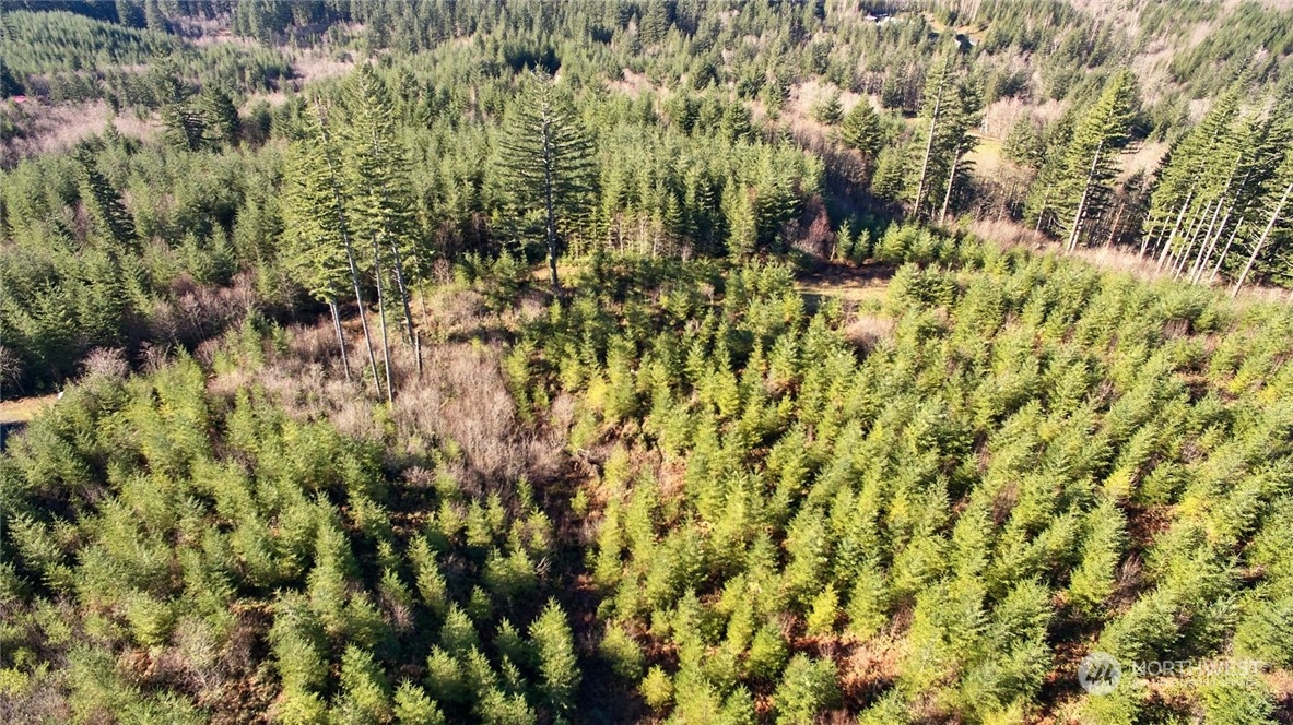 3 NE Jones Creek Road Camas WA 98601