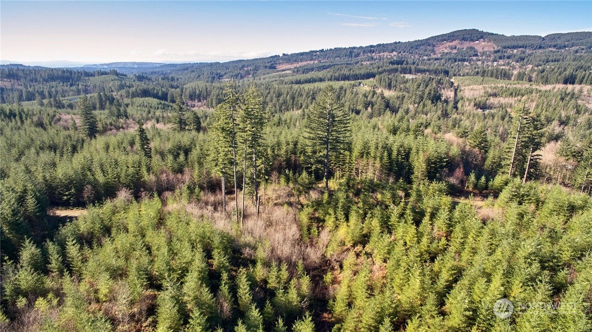 3 NE Jones Creek Road Camas WA 98601