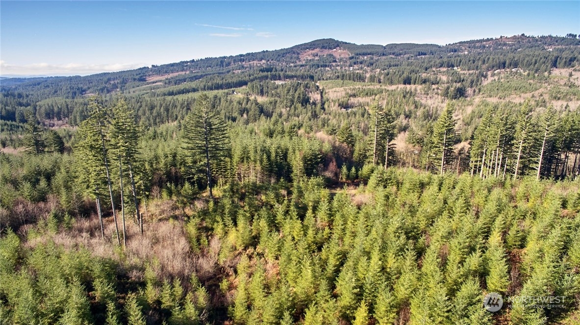 3 NE Jones Creek Road Camas WA 98601