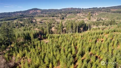 3 NE Jones Creek Road Camas WA 98601