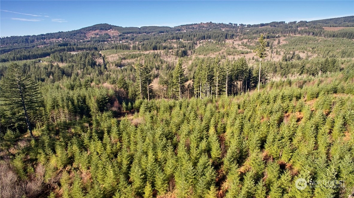 3 NE Jones Creek Road Camas WA 98601