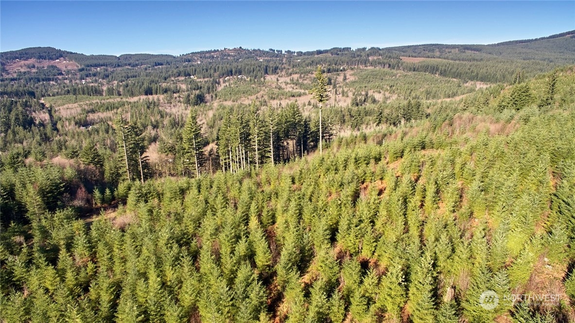 3 NE Jones Creek Road Camas WA 98601