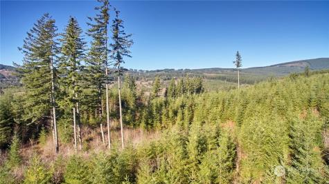 3 NE Jones Creek Road Camas WA 98601