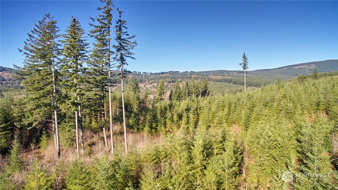 3 NE Jones Creek Road Camas WA 98601