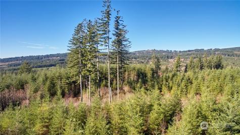 3 NE Jones Creek Road Camas WA 98601