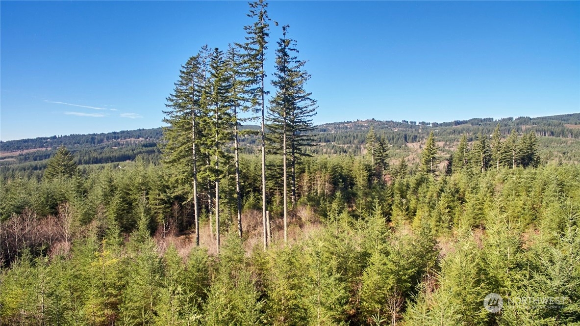 3 NE Jones Creek Road Camas WA 98601