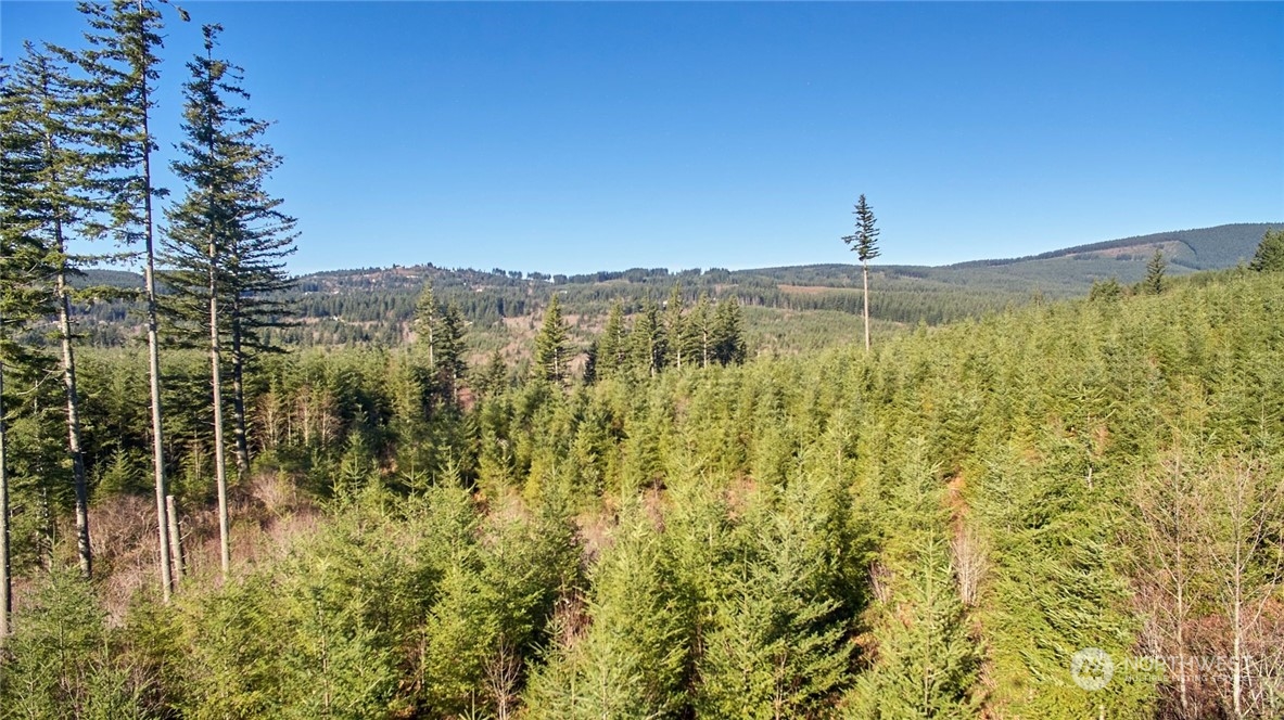 3 NE Jones Creek Road Camas WA 98601