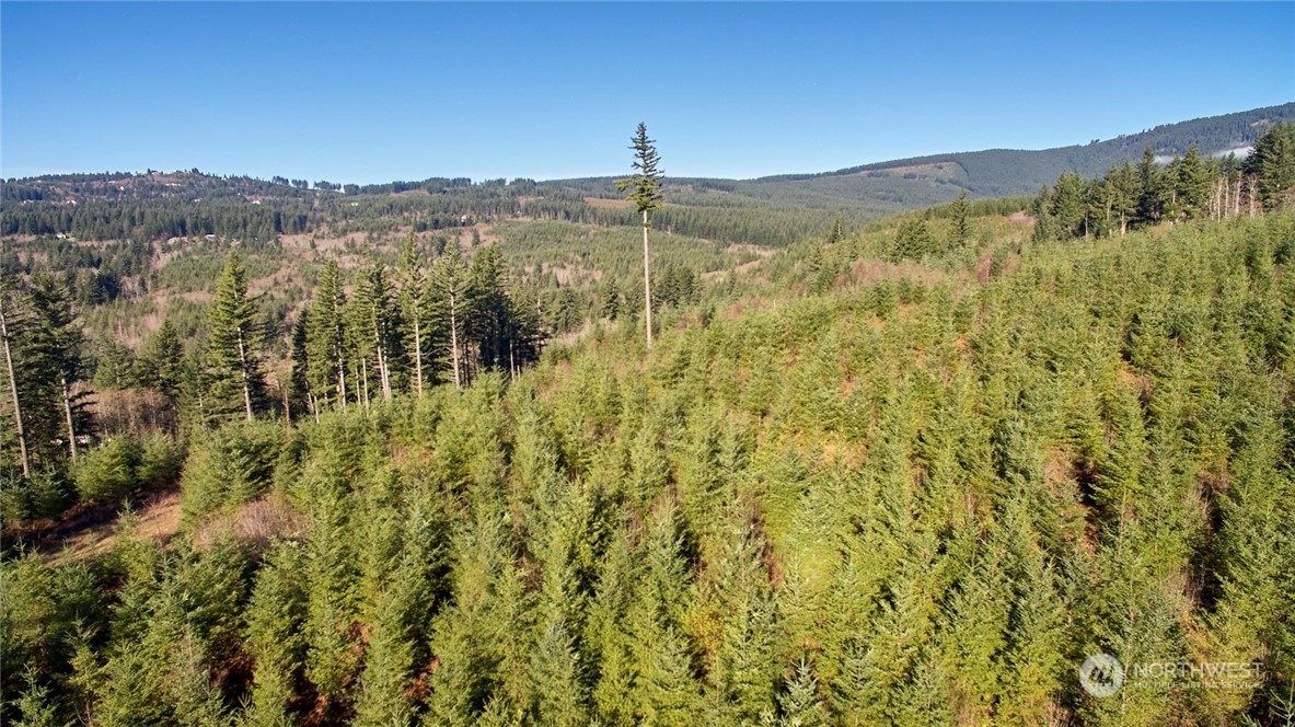 3 NE Jones Creek Road Camas WA 98601