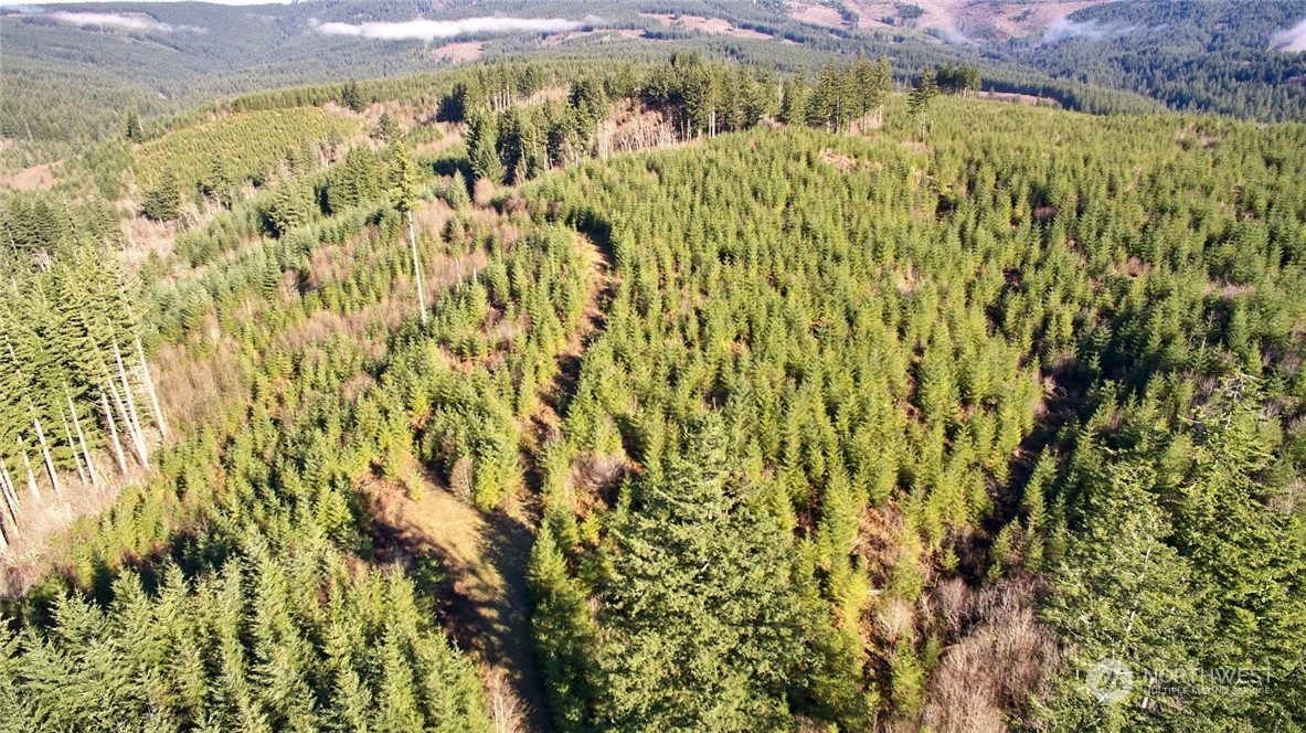 3 NE Jones Creek Road Camas WA 98601