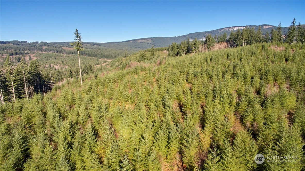 3 NE Jones Creek Road Camas WA 98601