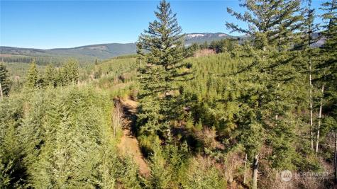 3 NE Jones Creek Road Camas WA 98601