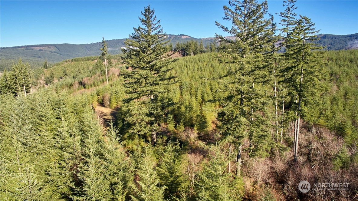 3 NE Jones Creek Road Camas WA 98601