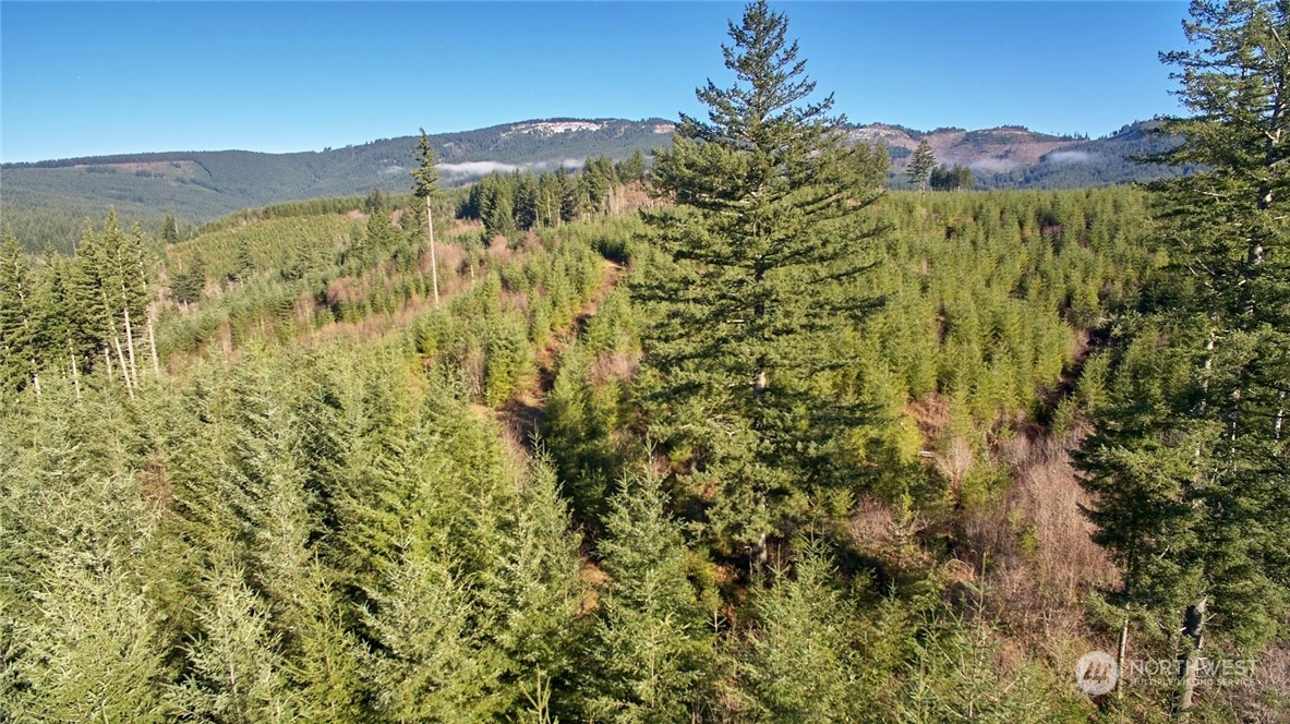 3 NE Jones Creek Road Camas WA 98601