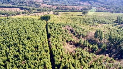 3 NE Jones Creek Road Camas WA 98601