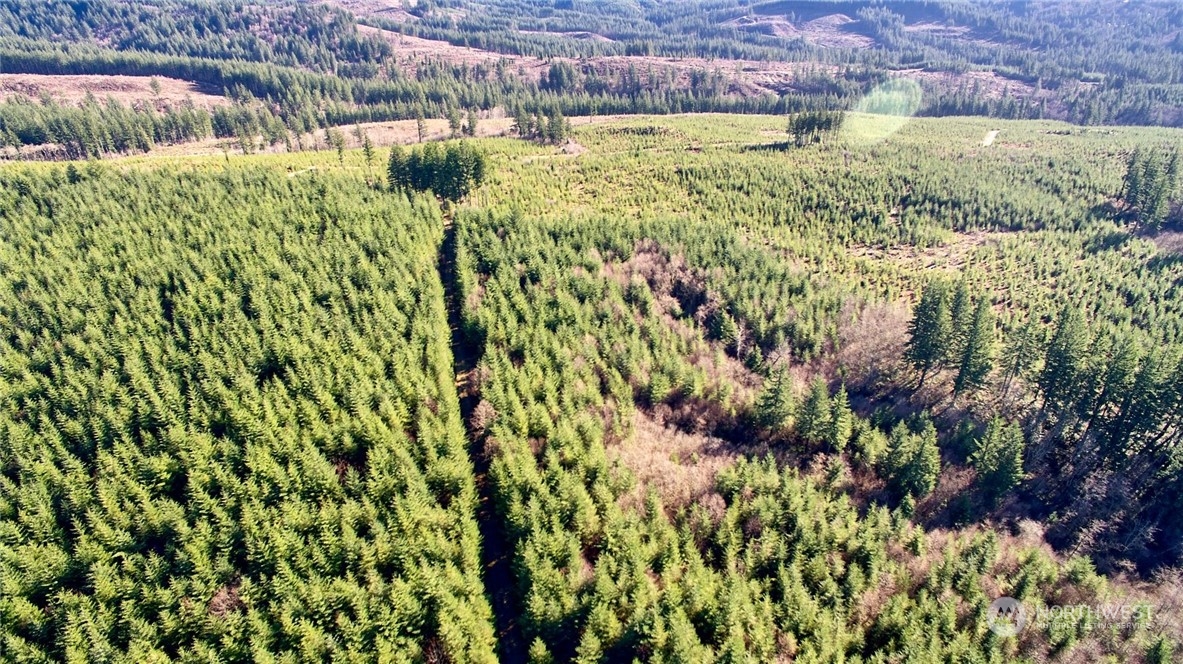 3 NE Jones Creek Road Camas WA 98601